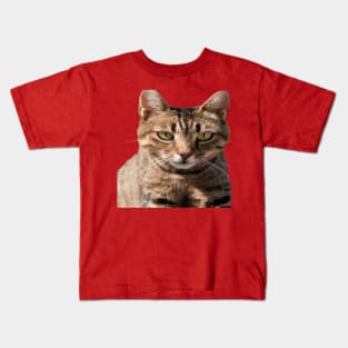 Portrait Of A Cute Tabby Cat With Direct Eye Contact Vector Kids T-Shirt